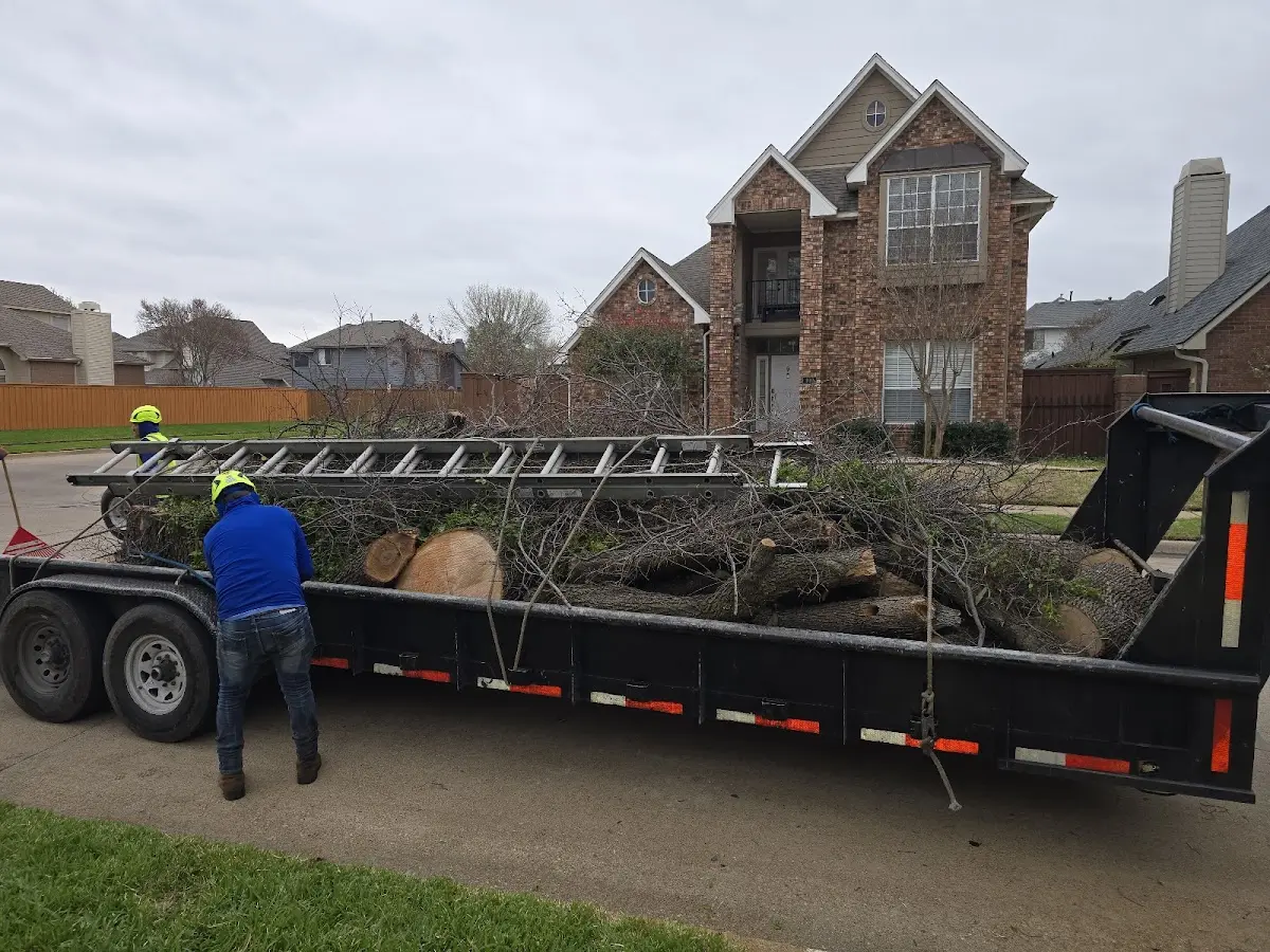 Expert Tree Removal with proper safety equipment in Glen Rock